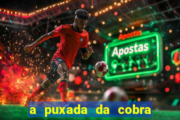 a puxada da cobra no jogo do bicho